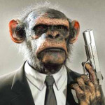 Profile picture of The Admin Monkey